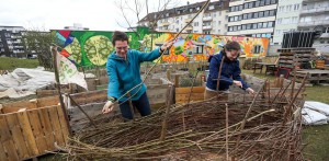 rp_neuer-garten-soll-bunt-bluehen