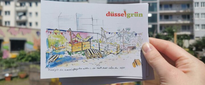 Unsere Postkarten sind fertig