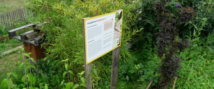 Den Gartenrundgang gibt’s nun auch zum Anhören Den Gartenrundgang gibt’s nun auch zum Anhören
