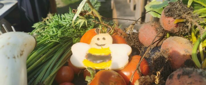Neue Uhrzeit für die Gartensonntage Neue Uhrzeit für die Gartensonntage