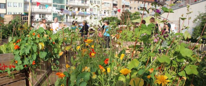 Termin für das duesselgruen-Sommerfest steht