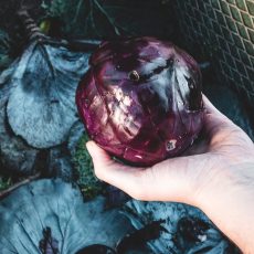 Termine im Oktober 2022