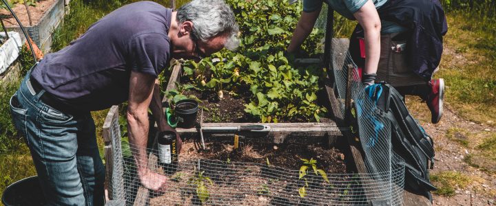 Neue Uhrzeit für die Gartensonntage